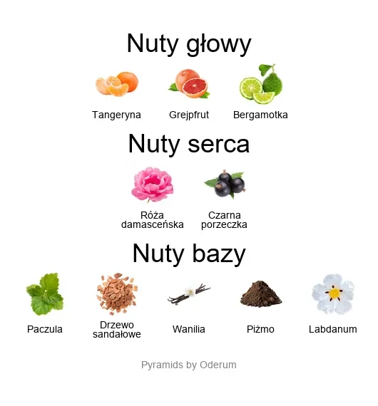 Xerjoff Richwood ekstrakt perfum - piramida zapachów