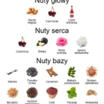 Lost Cherry EDP - piramida zapachów