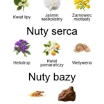 Tilia EDP - piramida zapachów