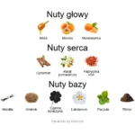 Noel au Balcon EDP - piramida zapachów