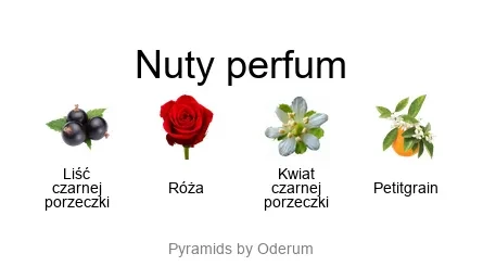 Diptyque L'Ombre Dans L'eau EDP - piramida zapachów