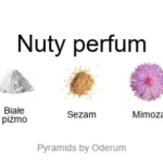 L'eau Papier EDT - piramida zapachów