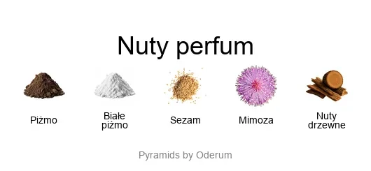 Diptyque L'eau Papier EDT - piramida zapachów