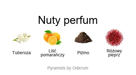 Diptyque Do Son EDP - piramida zapachów