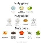 Nuda Veritas EDP - piramida zapachów