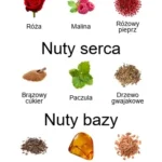 Rose Omeyyade EDP - piramida zapachów