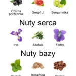 Aube Rubis EDP - piramida zapachów