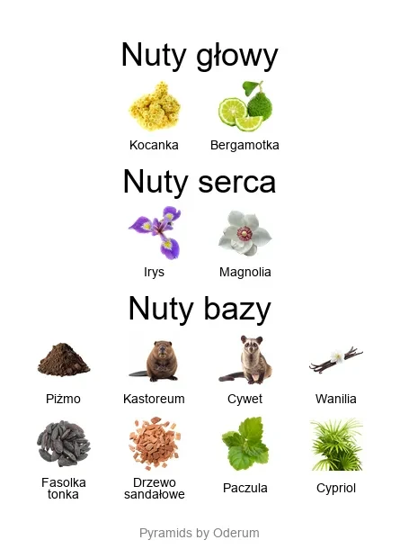 Francesca Bianchi Unspoken Musk esktrakt perfum - piramida zapachów