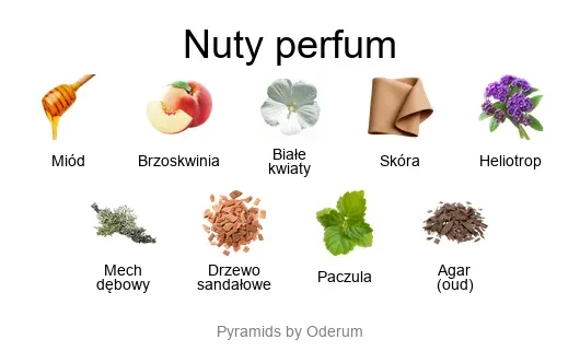 Francesca Bianchi Tyger Tyger ekstrakt perfum - piramida zapachów