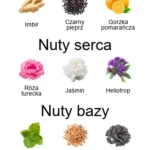 Eau de Protection EDP - piramida zapachów