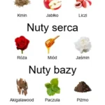Experimentum Crucis EDP - piramida zapachów
