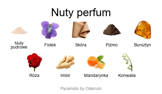 Etat Libre d'Orange Putain des Palaces EDP - piramida zapachów