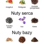 Nuit de Megeve EDP - piramida zapachów