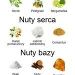 Memoires de Mustique EDT - piramida zapachów