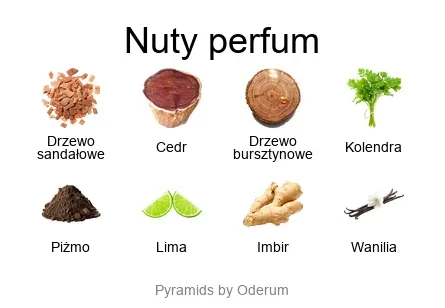 Diptyque Tam Dao EDP - piramida zapachów
