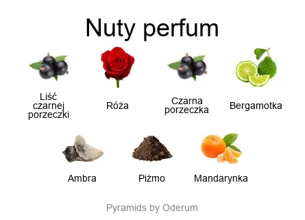Diptyque L'Ombre Dans L'eau EDT - piramida zapachów