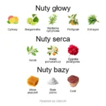 L'eau de Neroli EDT - piramida zapachów