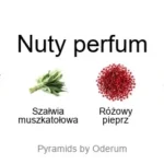 Tempo EDP - piramida zapachów
