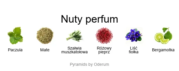 Diptyque Tempo EDP - piramida zapachów