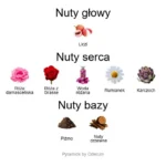 Eau Rose EDP - piramida zapachów