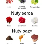 Eau Rose EDT - piramida zapachów