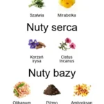 De Los Santos EDP - piramida zapachów