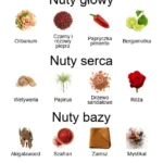 Purpose EDP - piramida zapachów