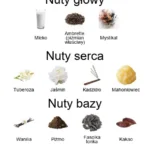 Blanche Bete EDP - piramida zapachów