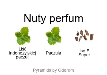 Escentric Molecules Molecule 01 + Patchouli EDT - piramida zapachów