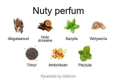 Essential Parfums Bois Imperial EDP - niepełny flakon 20 ml - piramida zapachów