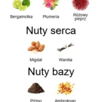 Blu Indaco EDP - piramida zapachów