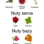 Bryant Park EDP - piramida zapachów