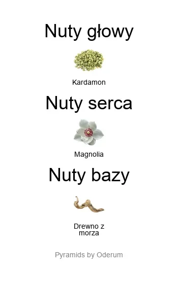 Anori Anori EDP - piramida zapachów