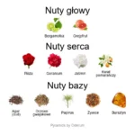 Oud de Nil EDP - piramida zapachów
