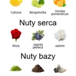 Luna EDT - piramida zapachów