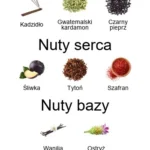 AlUla EDP - piramida zapachów