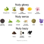 Tea Tonique ekstrakt perfum - piramida zapachów