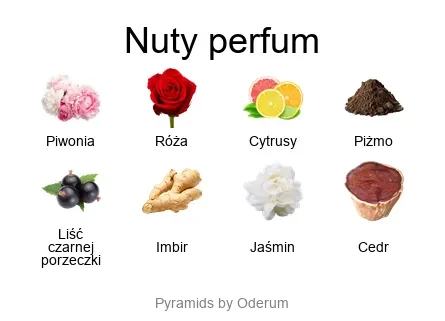 Cherigan Lovers in Pink EDP - piramida zapachów