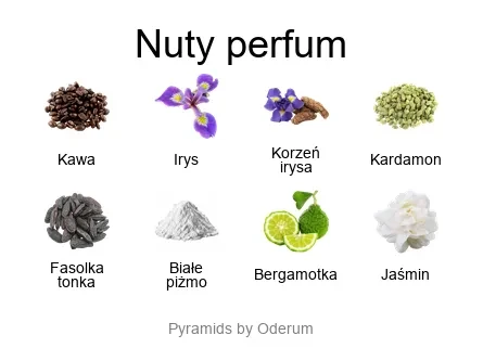 Cherigan Iris Coffee EDP - piramida zapachów